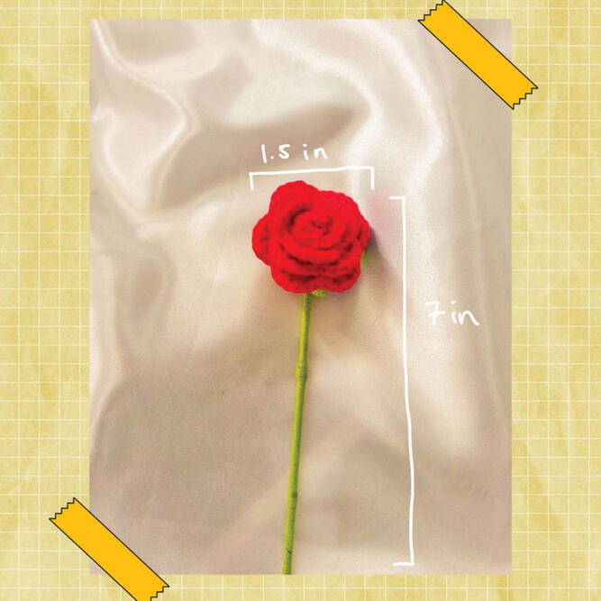 Rose